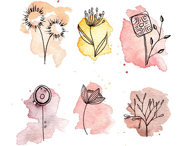 Fields of Amber botanical botanical line drawing floral design floral illustration flower illustration illustration line drawing nature illustration swatches watercolor watercolor illustration