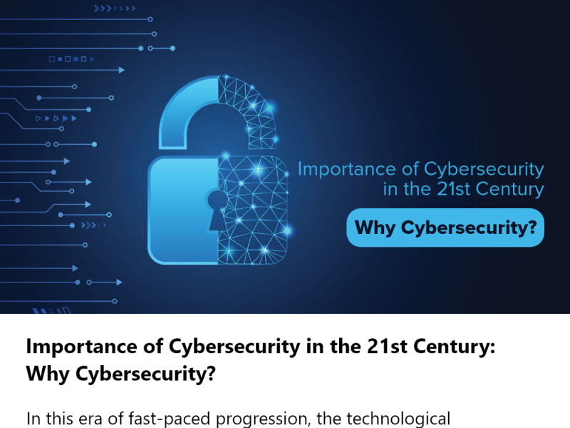 Importance of Cyber Security in the 21st Century by Whizhack on Dribbble