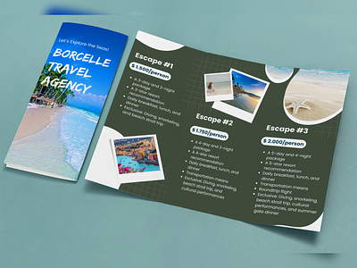 Brochure Design branding brochure design brouchure design flyer design graphic design illustration photoshop design