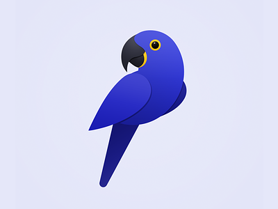 Hyacinth Macaw animal bird cute icon parrot onlyoly pet