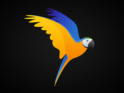 Blue And Yellow Macaw