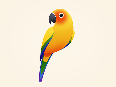 Sun Parakeet animal bird color cute onlyoly icon parrot pet