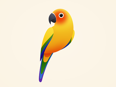 Sun Parakeet