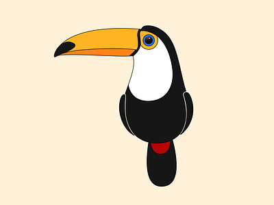 Toco Toucan