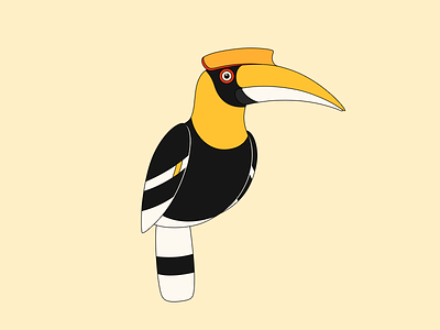 Hornbills animal bird color cute onlyoly icon parrot pet