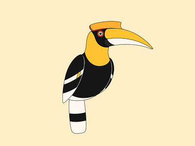 Hornbills