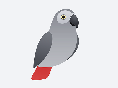 African Grey Parrot - Alex animal bird cute icon parrot pet onlyoly