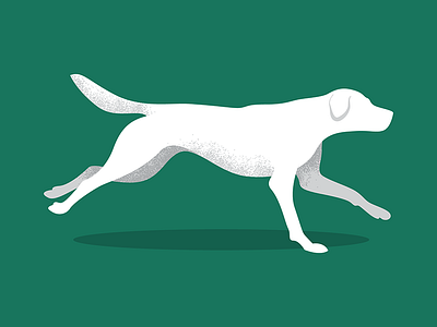 Dog Run animal canine dog exercise iconic illustration labrador minimal pet run texture vector