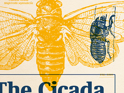 New Specimen Teaser 1 bug cicada education encyclopedia font illustration insect specimen type typeface