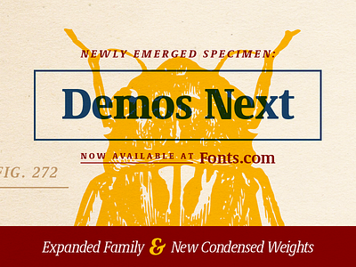 Demos Next bug cicada demos demos next education encyclopedia font illustration insect specimen type typeface