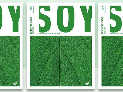 A Checkoff Rebrand annual report bold branding brochure green ppt template rebrand soybean