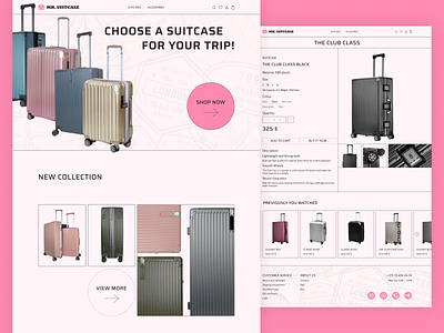 Mr. Suitcase (concept)