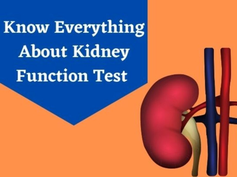 Kidney Function Test by Nutrapharm on Dribbble