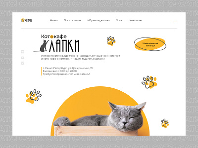 Главная страница для котокафе "Лапки" design ui ux