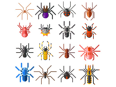 Flat Spiders Collection bug collection flat design hexapod icons insect set spider