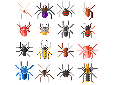 Flat Spiders Collection