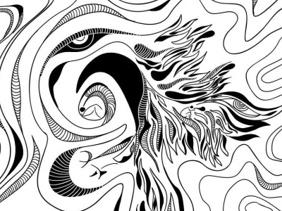 Phoenix black and white digital art digital drawing illustration line art nft nft art vector vector art