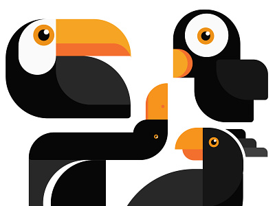 Birds 2019 adobe illustrator branding design drawing graphic illustration illustrator vector