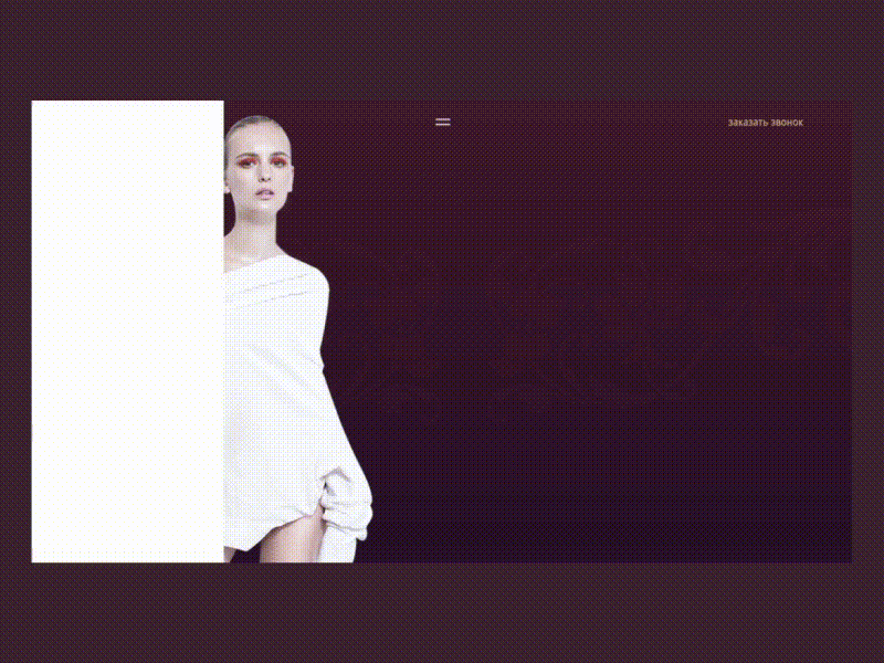 Z E L D A | web ae after effects animation interactions landing page minimalistic motion simple uiux visual design web