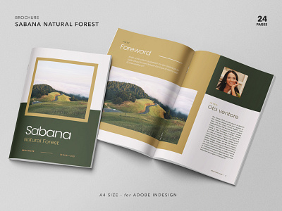 Sabana Natural Forest Brochure Layout banner