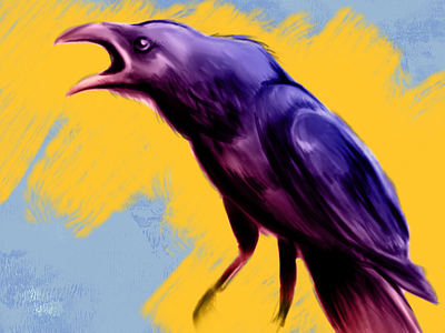 Raven illustration