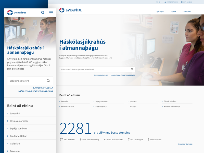 National University Hospital of Iceland web design ui healthcare design