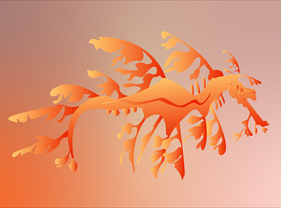 Sea dragon orange graphic design illustrator orange sea dragon sea horse