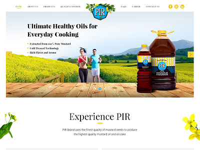 Pir Brand Landing Page Concept home page index landing page layout tempalte ui design ux website