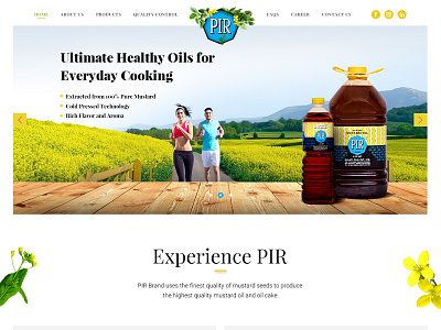 Pir Brand Landing Page Concept