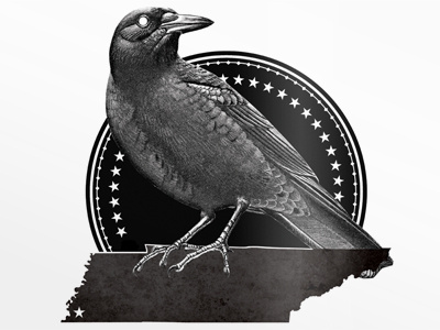 TN Crow illustration