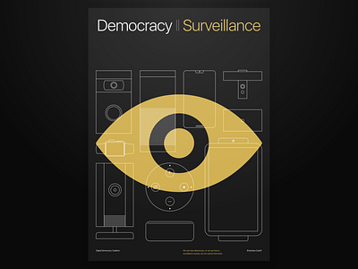 Democracy or Surveillance