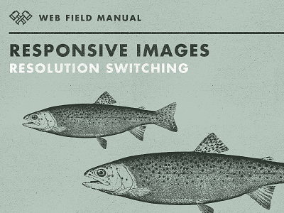 Responsive Images Res Switching futura retro