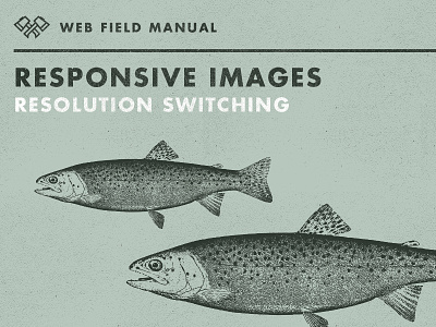 Responsive Images Res Switching
