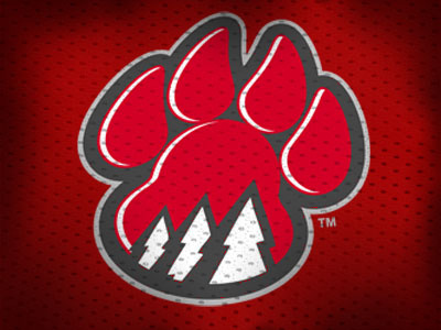 Wildcats Logo