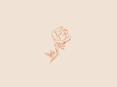 Peony by Carly Fister on Dribbble