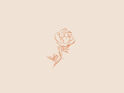Peony botanics branding brush draw floral illustration logo peony