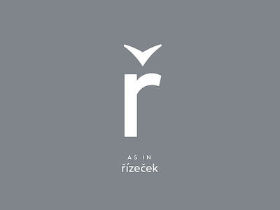 Czech typography: ř glyphs lettering sketch type type design typeface typeface design typography