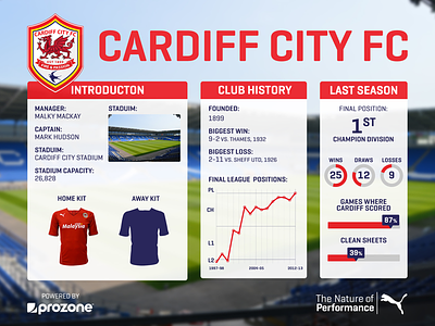 Cardiff City 2013 football graphs kit layout premier league season soccer social media stats