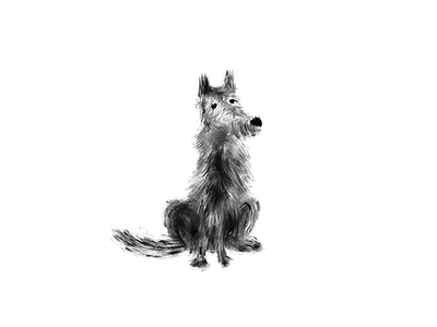 Wolf brush dog doodle furry ipad pro procreate
