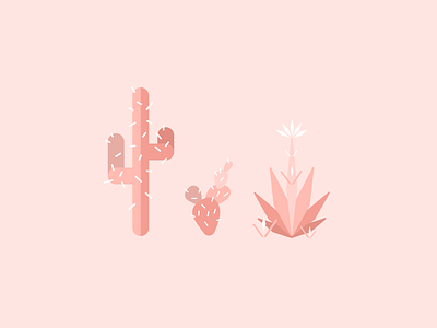 Pretty fly for pink cacti arizona cacti cactus desert design graphic design illustration illustrator palm springs pink plants succulents vector visual design