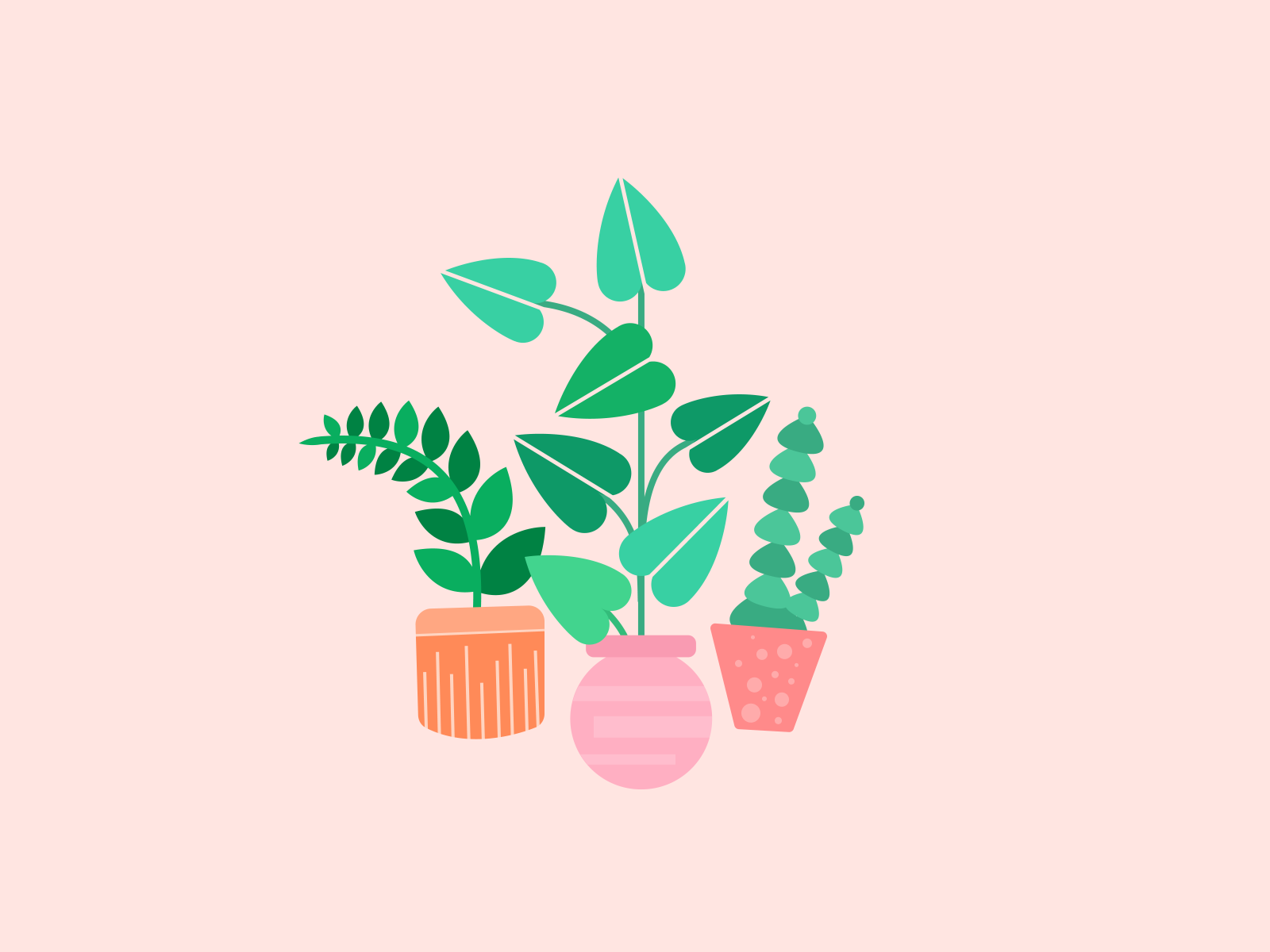 Houseplants by Danielle Chandler on Dribbble