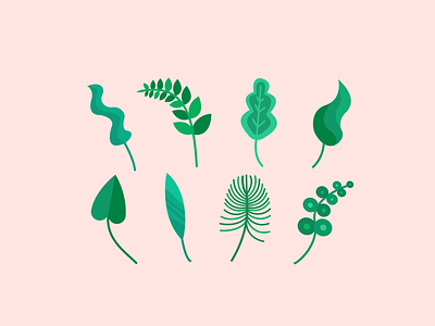 Leaves botanical design drawing foliage graphic design green houseplants illustration leaf leaves nature plants vector visual design