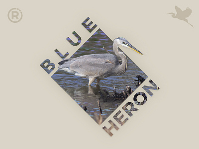 Nature Shot bird design graphic heron nature photography