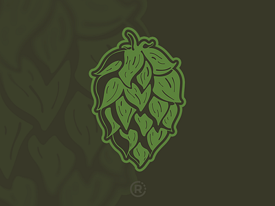 Hops beer craft beer homebrew hops illustration vector