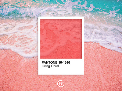 Pantone Living Coral beach color color grading color of the year living coral pantone wave