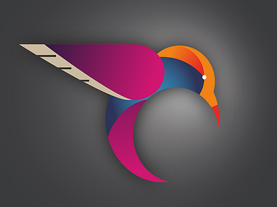 Hummingbird Logo illustrator logo