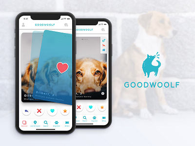GoodWoolf App dogs sketch swipe tinder ui ux