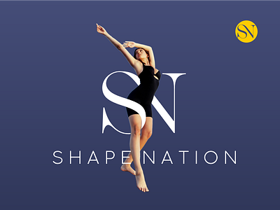 SN logo design graphic design illustration initials logo logo typography vektor