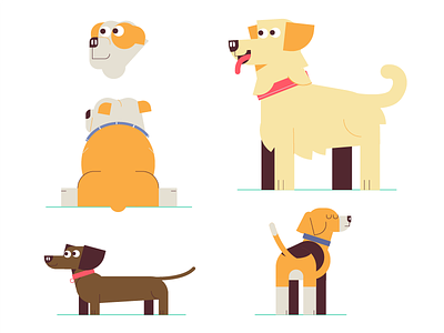 Group walk video dogs animation beagle bulldog characters cofap dogs flat illustration terrier