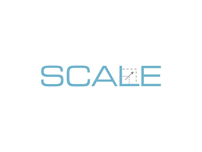 Scale rebound scale